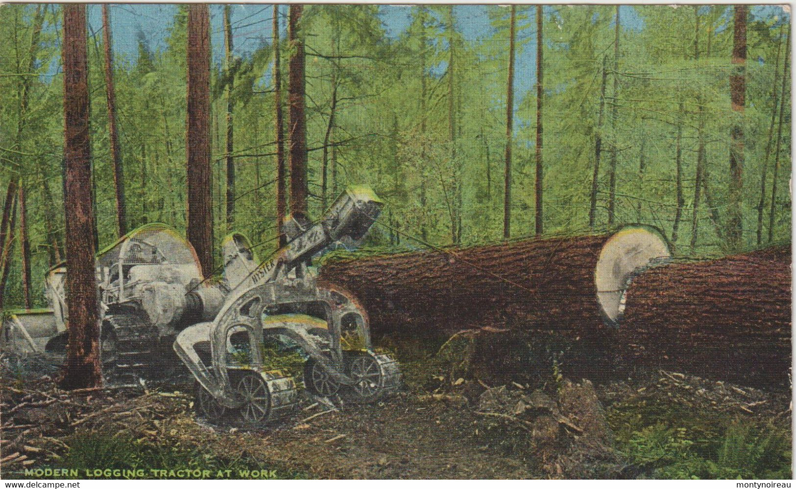 état  Unis :   Modern Logging Tractor At Work , Arbre, Forêt - Altri & Non Classificati