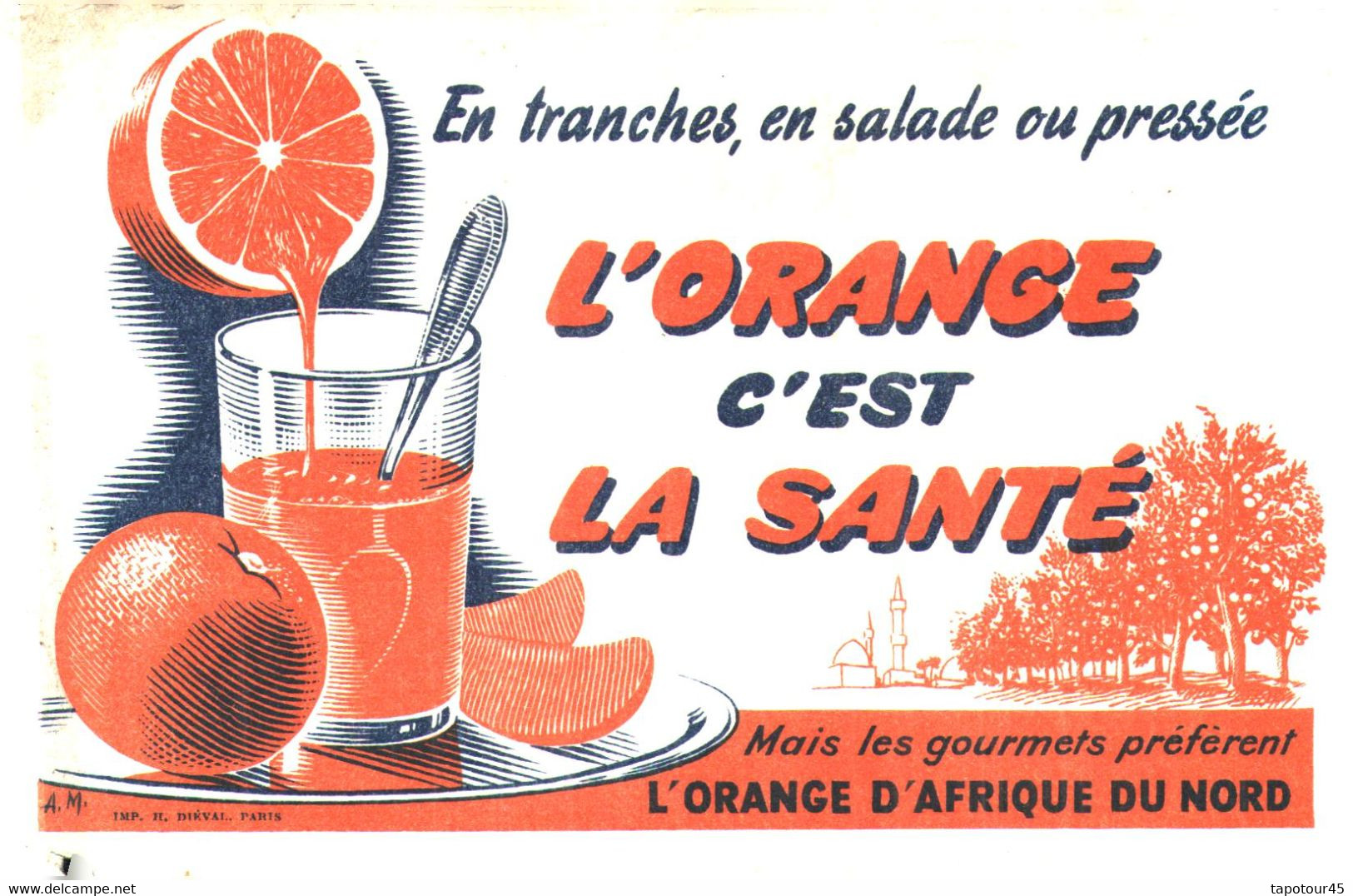 O /14/04/ Buvard L' Orange C'est La Santé  (Format 210 X 130 Mm)  (N= 1) - Alimentaire