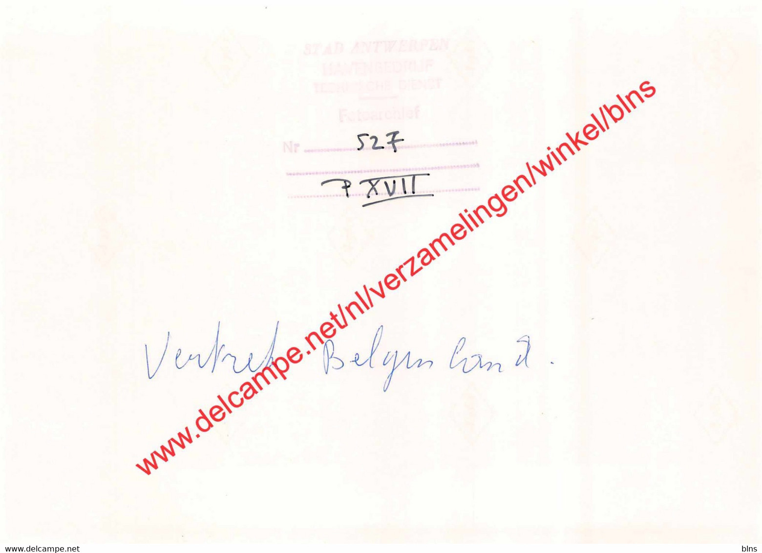 Red Star Line - Antwerpen - Photo 17,5x12,5cm - Belgenland In Antwerpen - Sonstige & Ohne Zuordnung