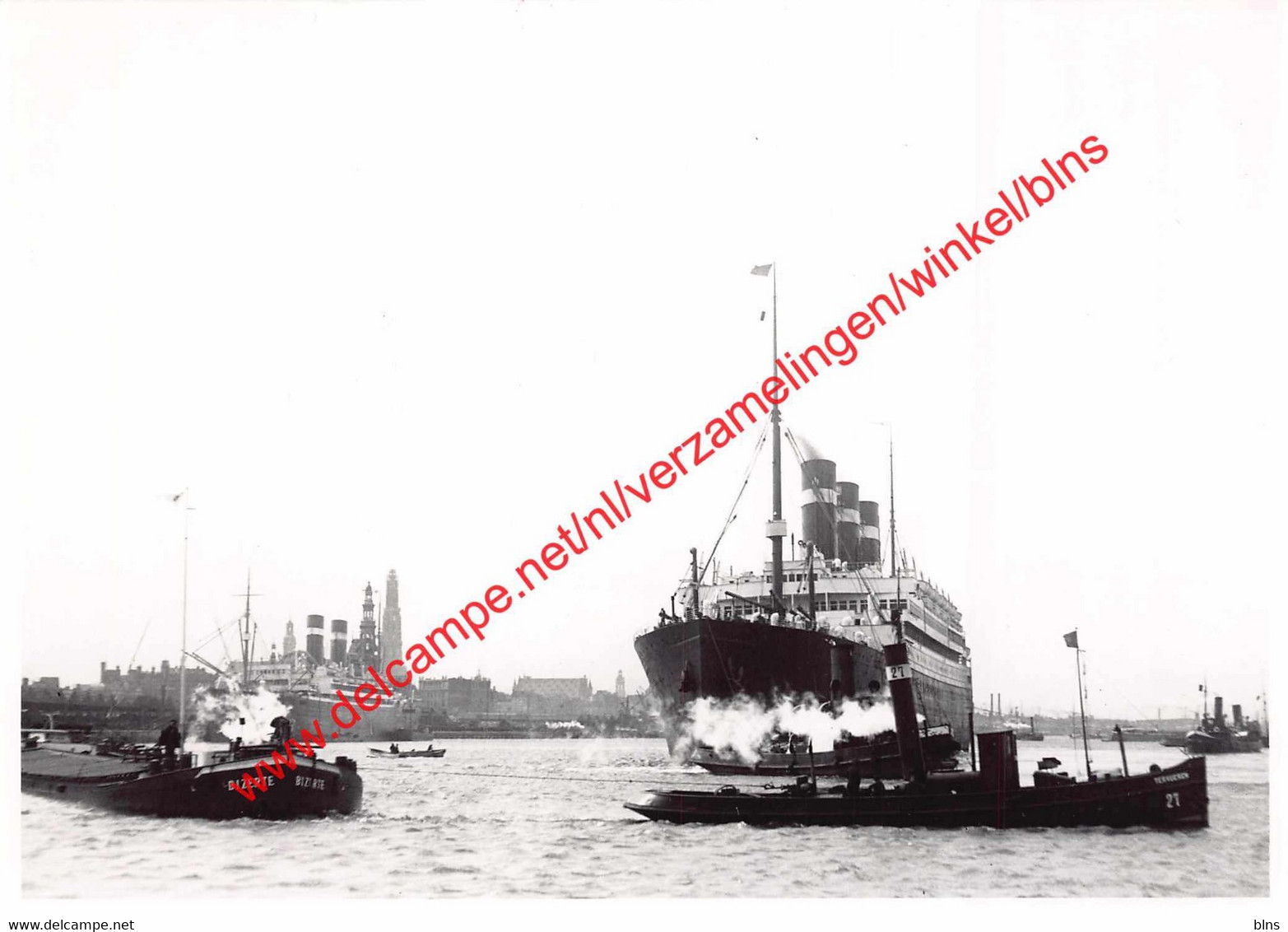 Red Star Line - Antwerpen - Photo 17,5x12,5cm - Aankomst Belgenland In Antwerpen - Sonstige & Ohne Zuordnung