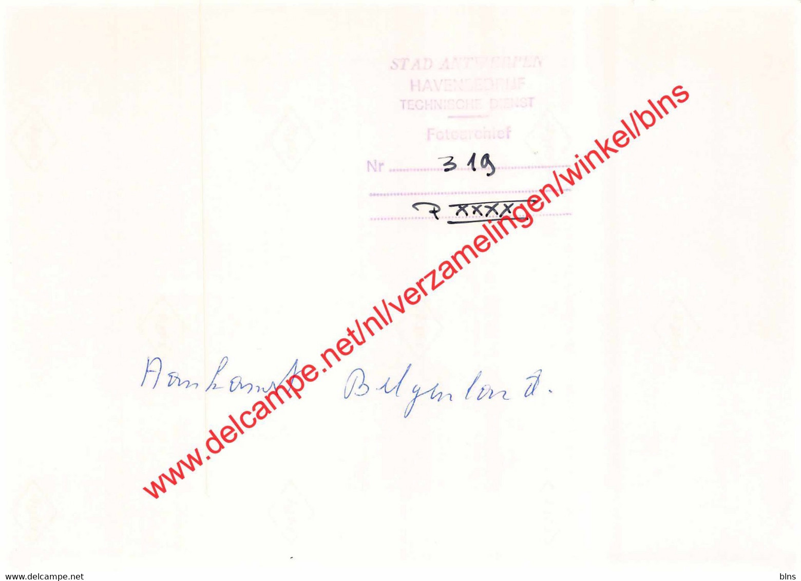 Red Star Line - Antwerpen - Photo 17,5x12,5cm - Aankomst Belgenland In Antwerpen - Sonstige & Ohne Zuordnung