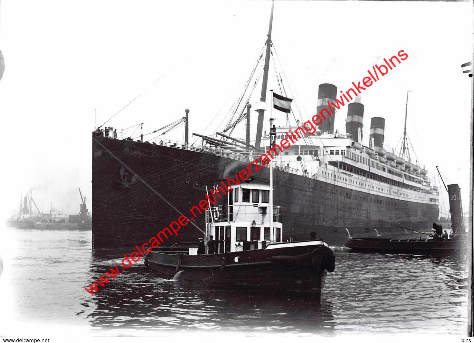 Red Star Line - Antwerpen - Photo 17,5x12,5cm - Belgenland In Het Lefebvredok - Sonstige & Ohne Zuordnung