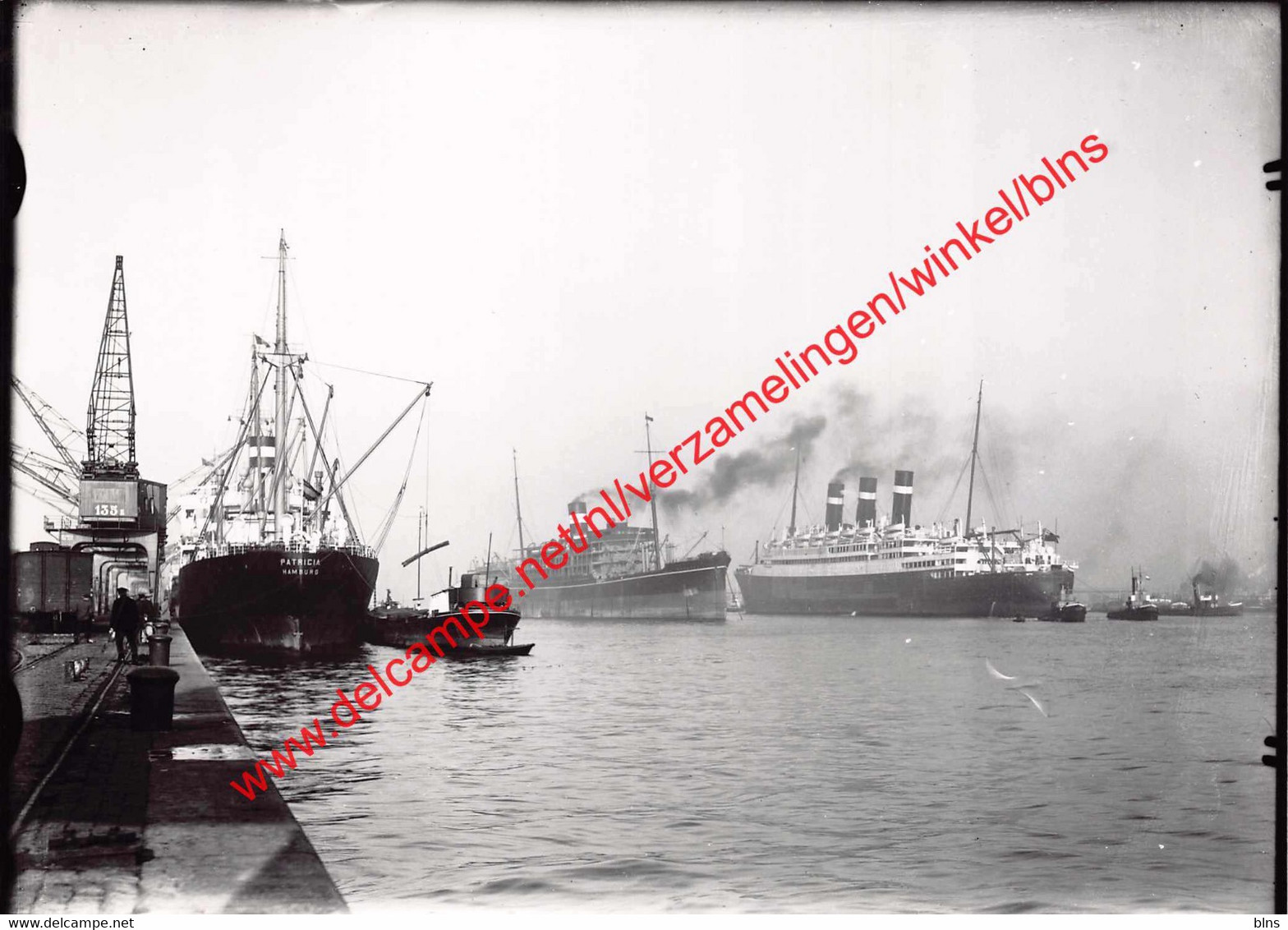 Red Star Line - Antwerpen - Photo 17,5x12,5cm - Belgenland In Het Albertdok - Autres & Non Classés