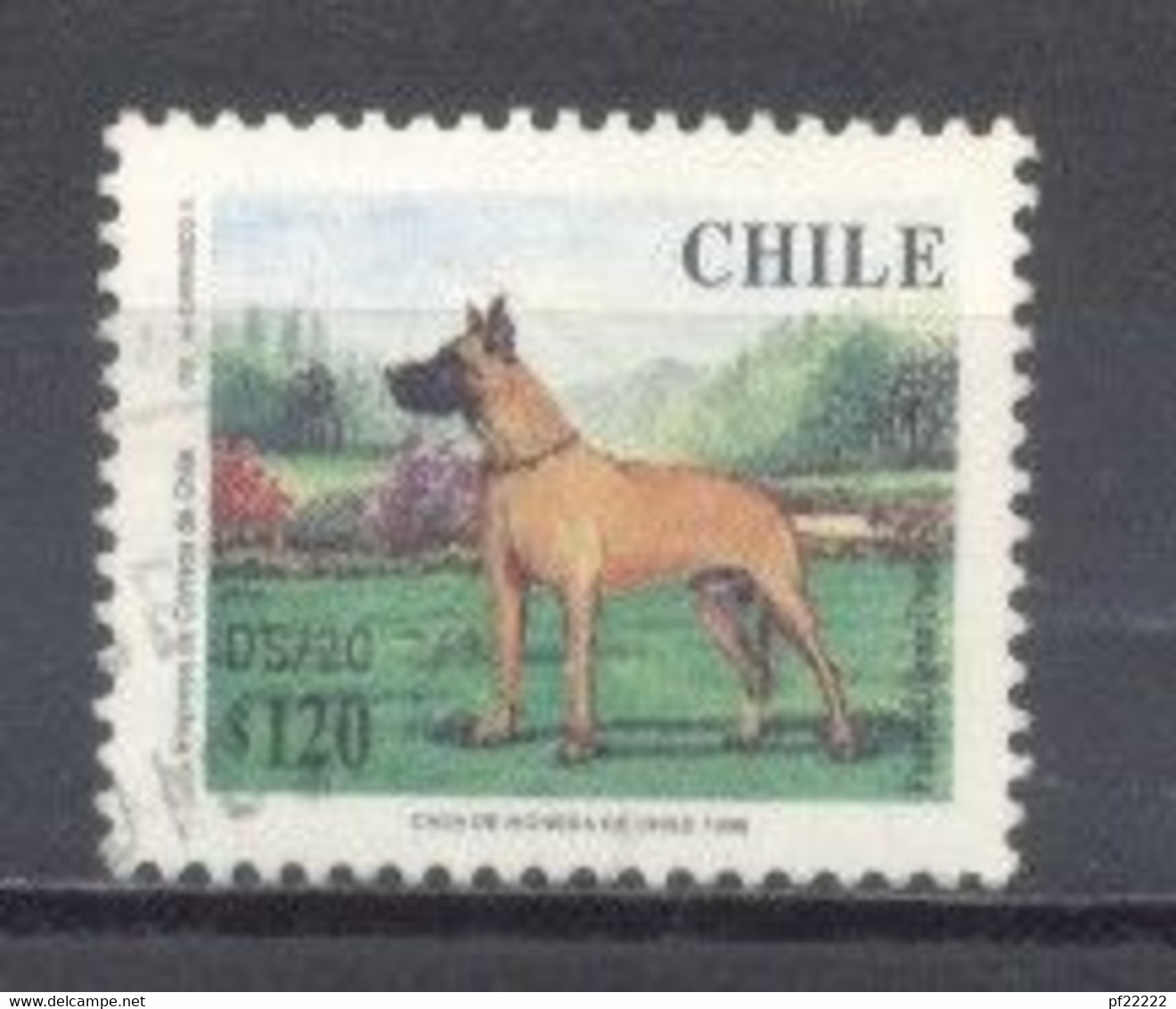 Chile,  Nuevo, Sin Goma - Chile