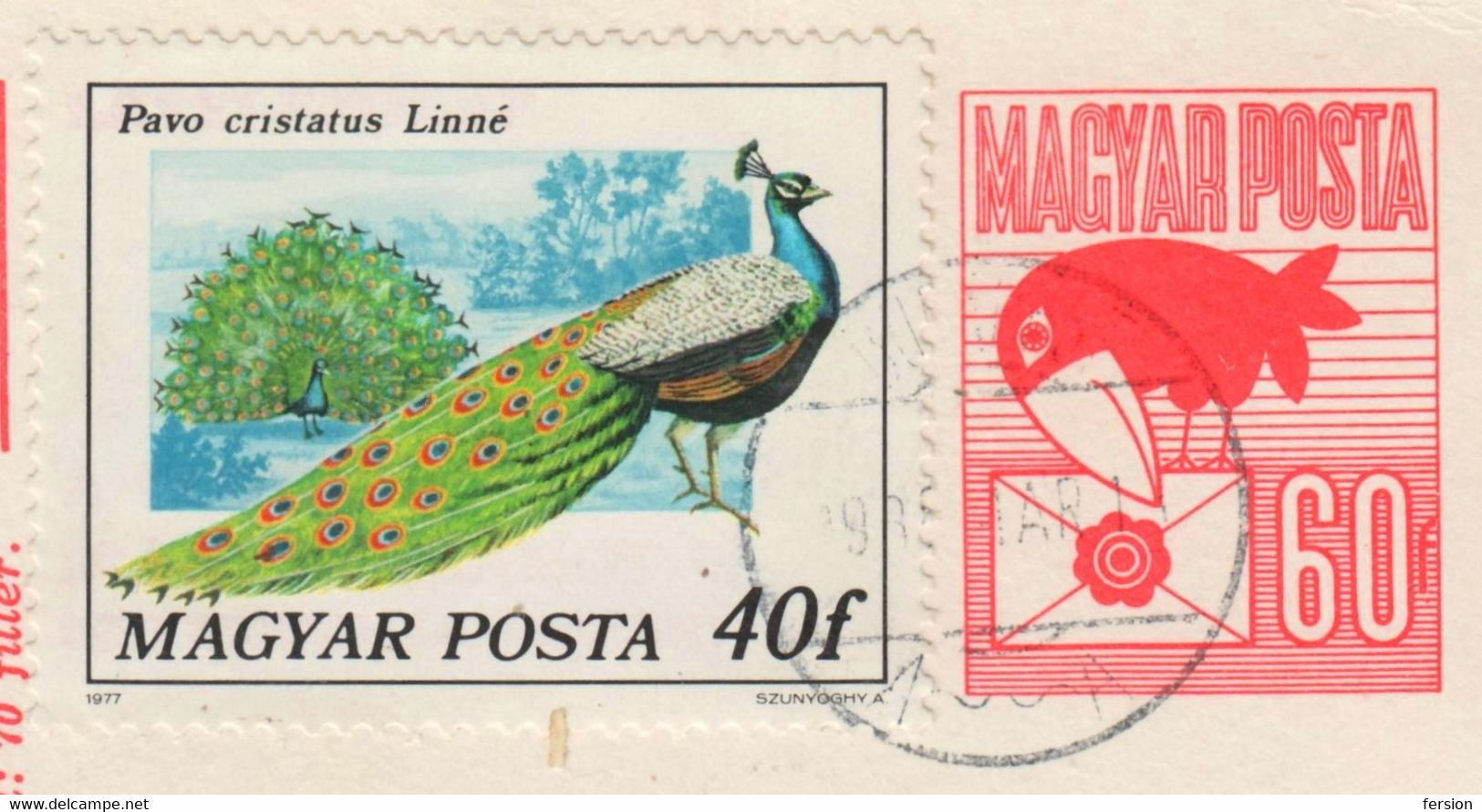 PEACOCK 1977 Indian Peafowl BIRD Pavo Cristatus -  Hungary 1988 STATIONERY Postcard Raven - Corvus Corax - Peacocks