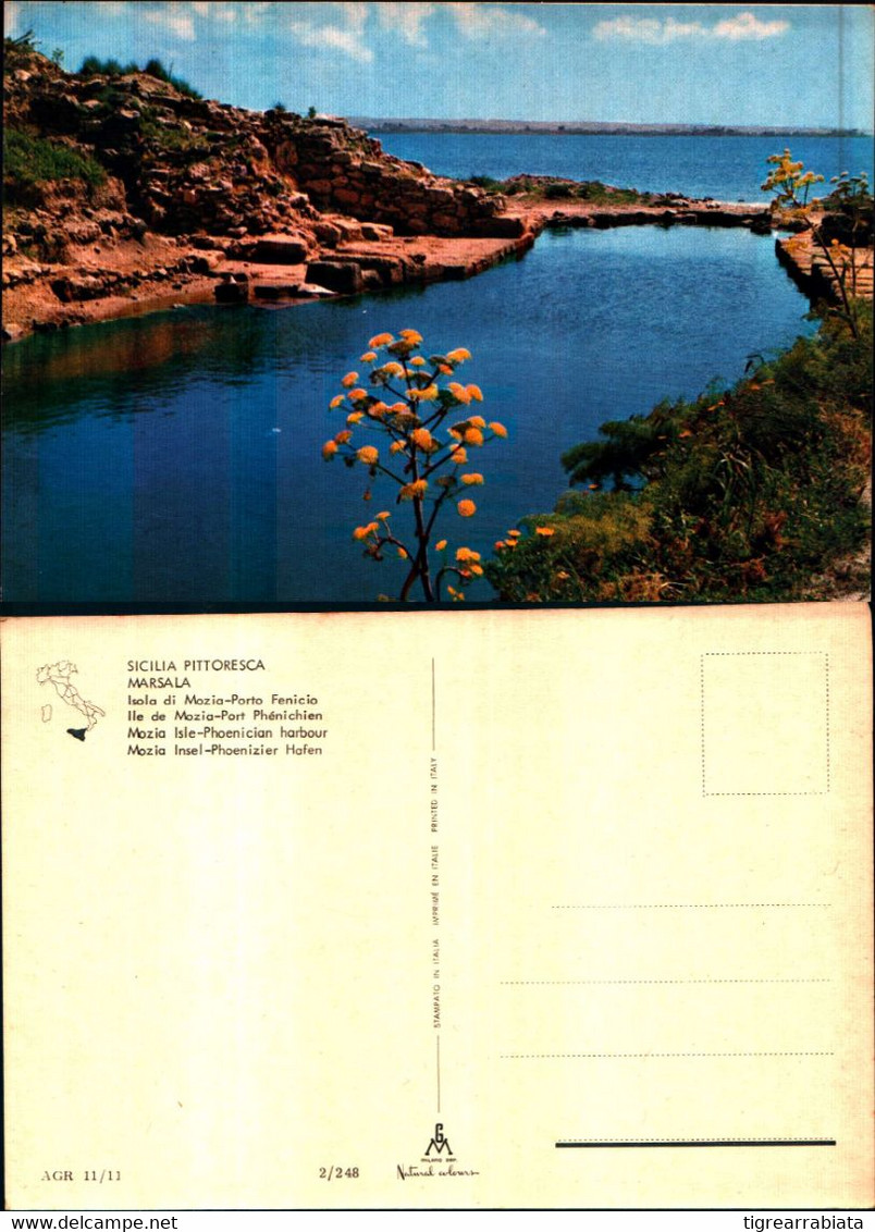 17694a)cartolina    Sicilia Pittoresca-marsala Isola Di Mozia-porto Fenicio - Marsala