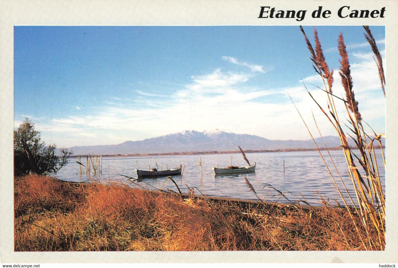 CANET : LE CANIGOU VU DE L'ETANG - Canet En Roussillon