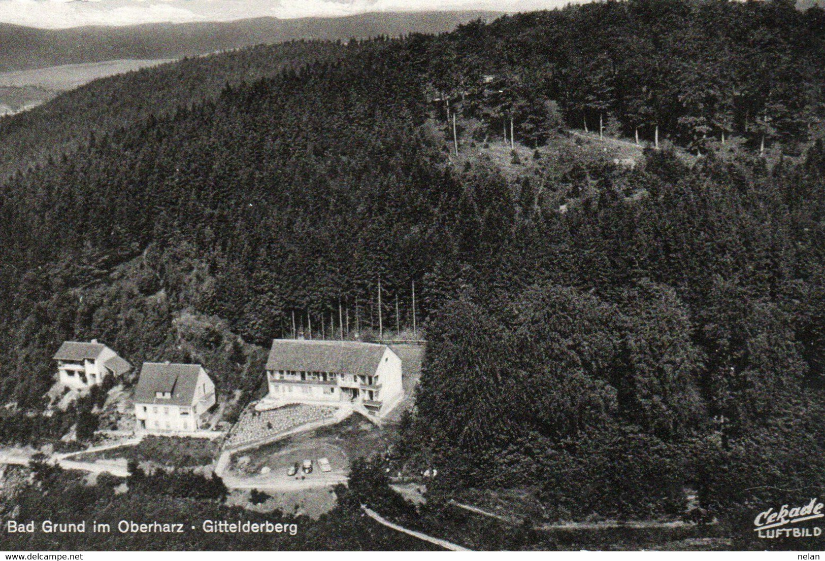 BAD GRUND IM OBERHARZ - GITTELDERBERG - REAL PHOTO - Bad Grund