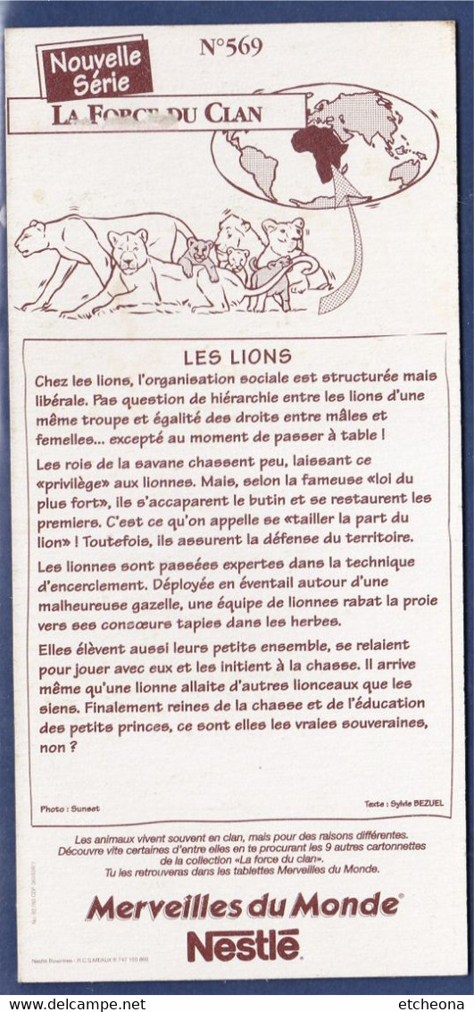 Les Lions, La Force Du Clan, Carte Publicitaire Dans Les Plaquettes De Chocolat Nestlé, Merveilles Du Monde - Lions