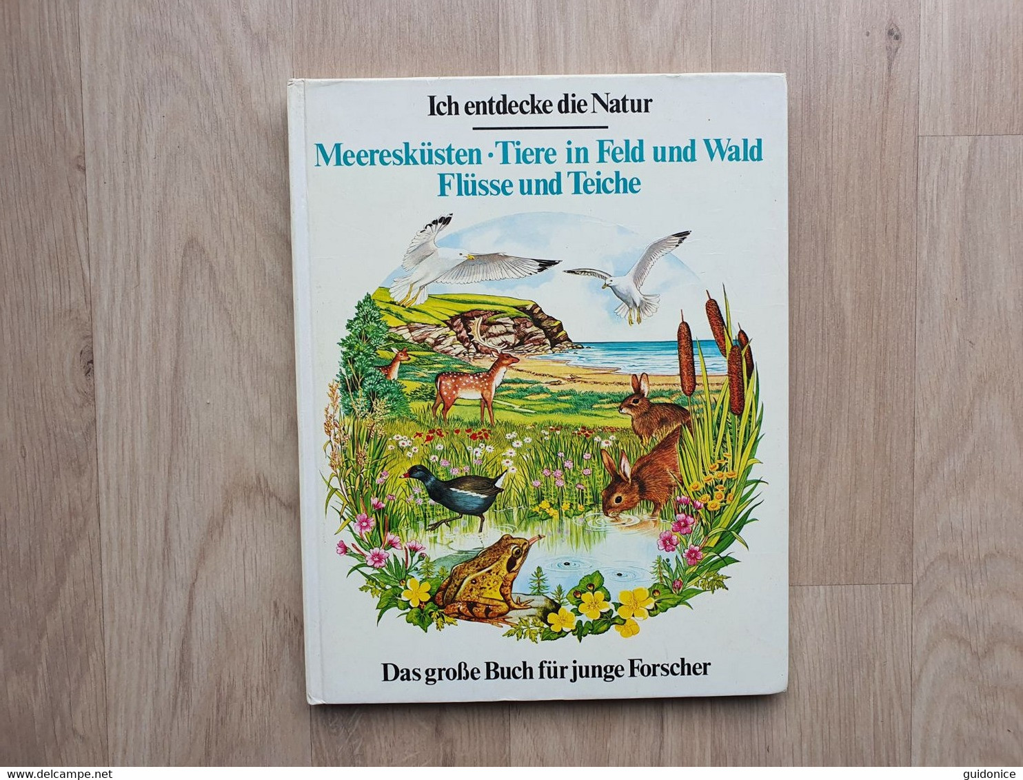 Jugendsachbuch (1970er) - Ich Entdecke Die Natur - Meeresküsten.... - Saber