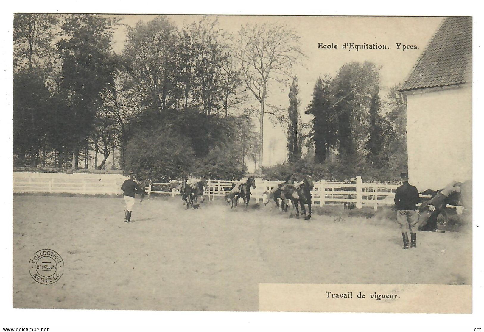 Ypres Ieper  Ecole D'Equitation  Travail De Vigueur - Ieper