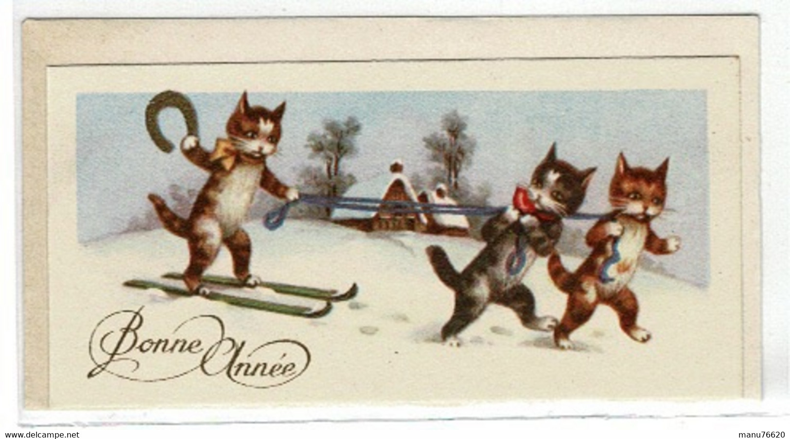 CARTE VOEUX ET BONNE ANNEE- Chats Qui Descendent En Ski, Fer A Cheval. - Nouvel An