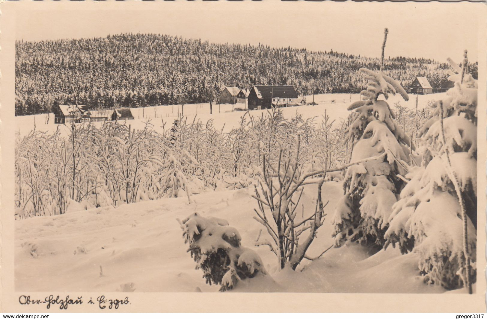 3457) OBER HOLZHAU I. Erzgebirge - Stark Verschneite Ansicht Mit Häusern U. Wald TOP !! - Oberholzhau (Erzgeb.)