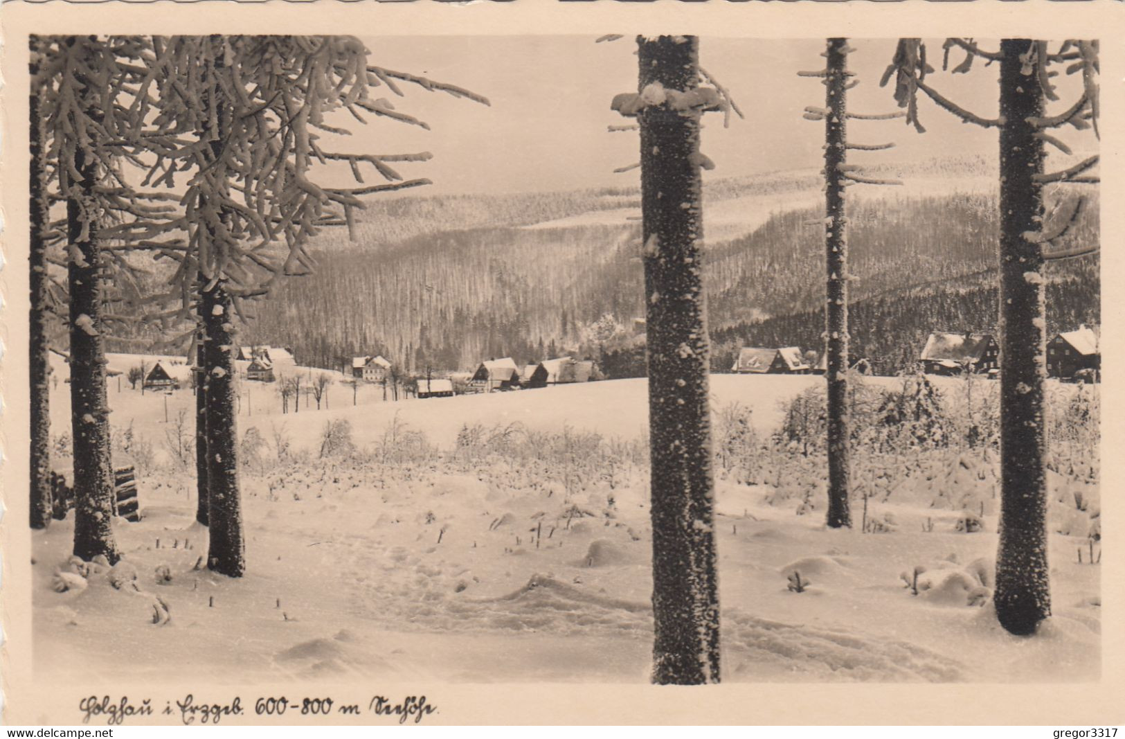 3458) OBER HOLZHAU / Erzgebirge - Blick Aus Dem Wald Auf Verschneite HÄUSER - Top !! - Oberholzhau (Erzgeb.)