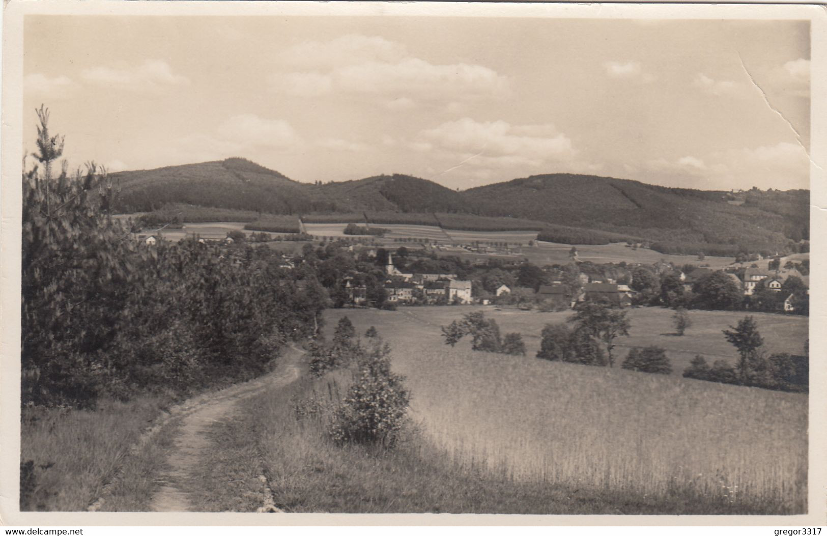 3485) ERLBACH I. Vogtl.  - Wegansicht - Häuer U. Wiese ALT !! - Erlbach-Kirchberg