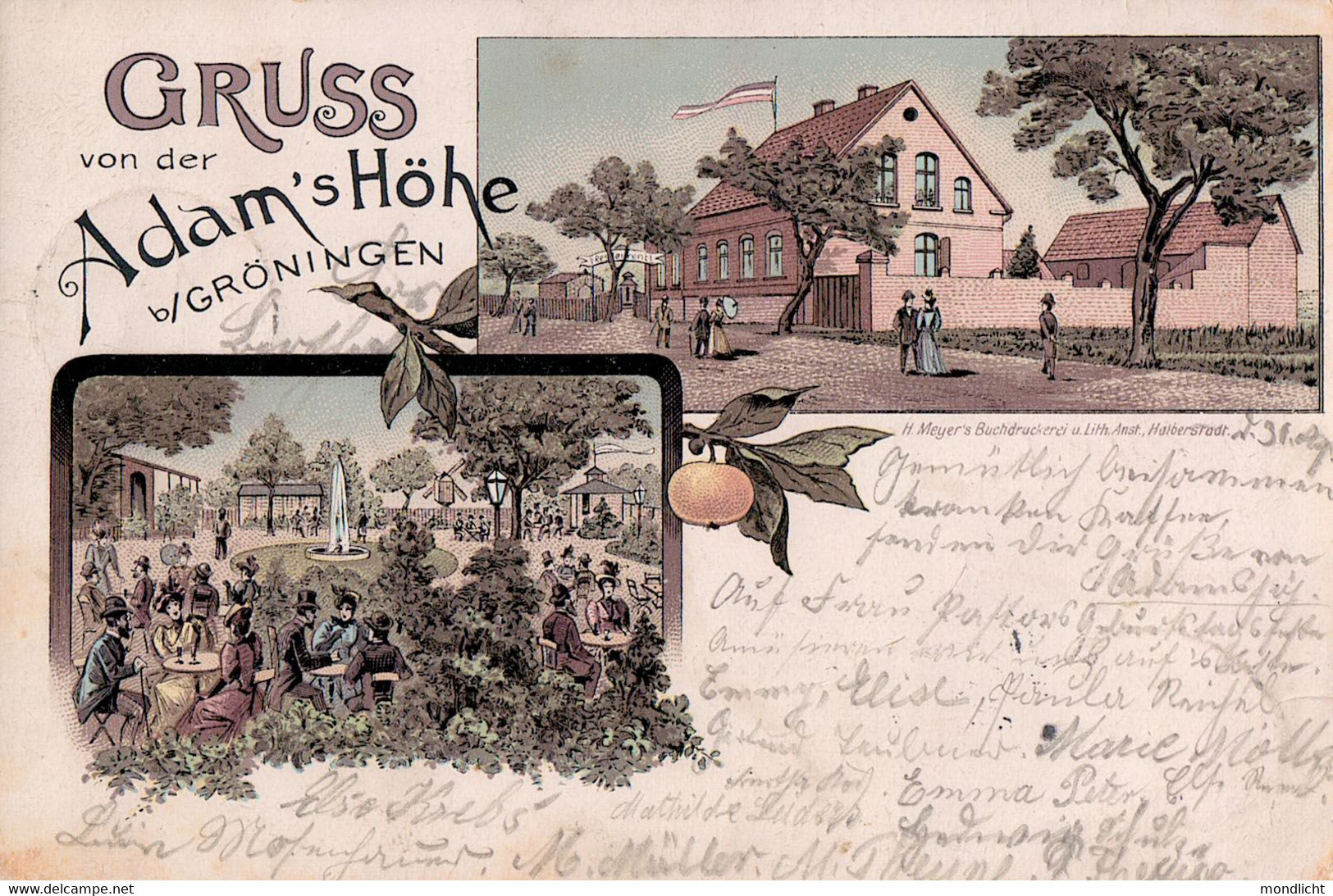Gruss Von Der Adam's Höhe Bei Gröningen. 1897. (Adamshöhe). - Oschersleben