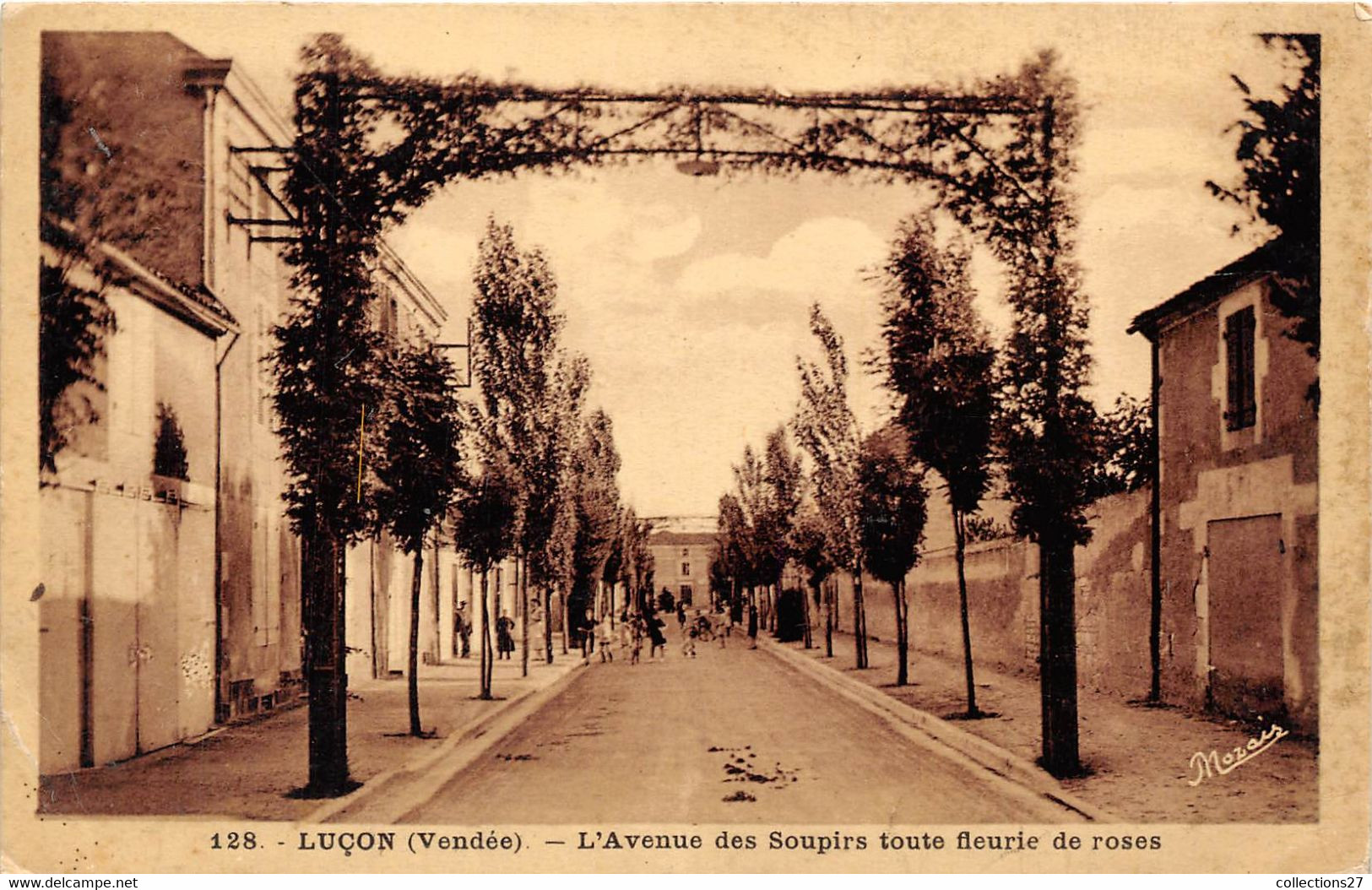 85-LUCON- L'AVENUE DES SOUPIRS TOUTE FLEURIE DE ROSES - Lucon