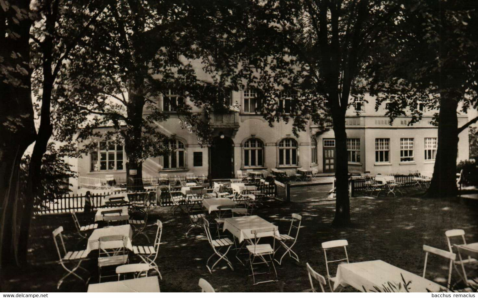 HOLZHAUSEN - EXTERNSTEINE - Hotel Und Pension "Zur Eiche"  H.Steding - Bad Meinberg