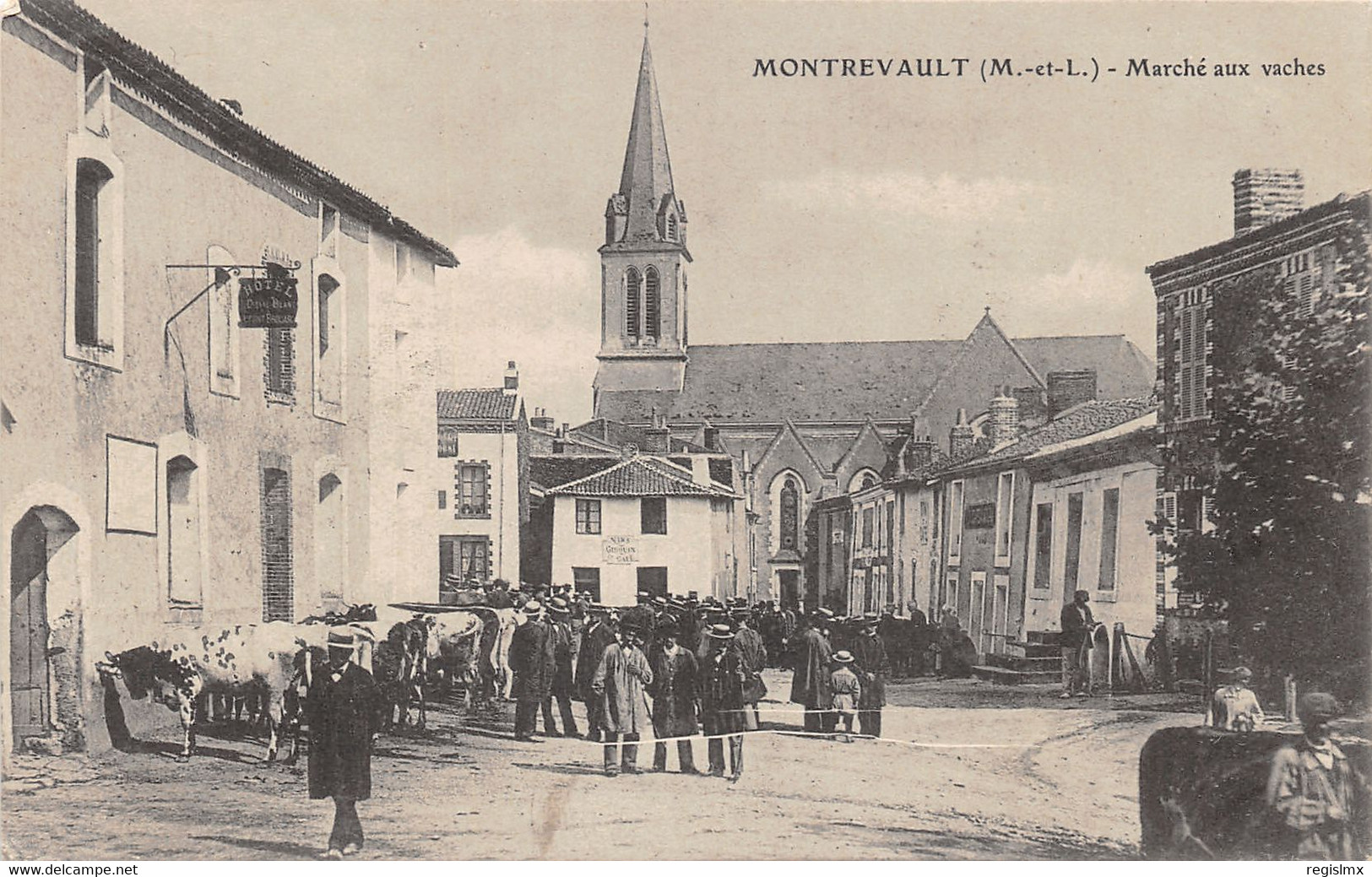 49-MONTREVAULT-MARCHE AUX VACHES-N°2043-F/0177 - Montrevault