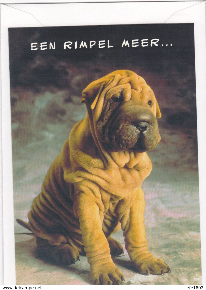 Postogram 108 N / 97 - Een Rimpel Meer - Diagenic - Shar Pei Dog - Postogram