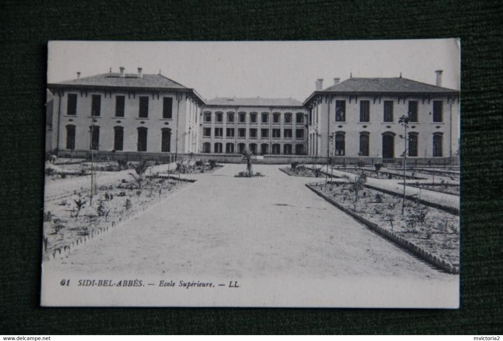 SIDI BEL ABBES - Ecole Supérieure. - Sidi-bel-Abbès