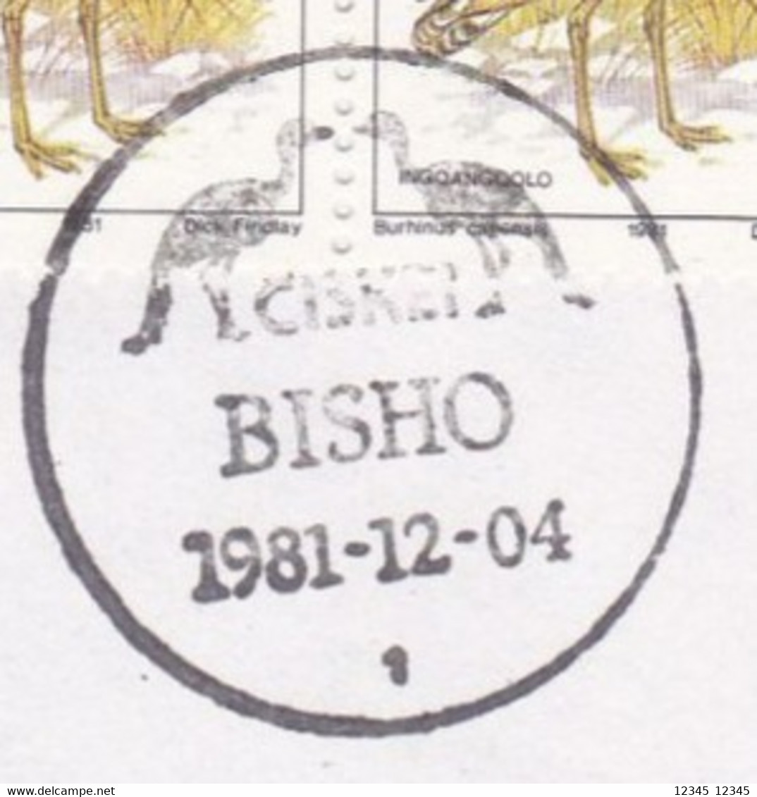 Ciskei 1981, Letter Netherland, Cancellation With Birds - Ciskei