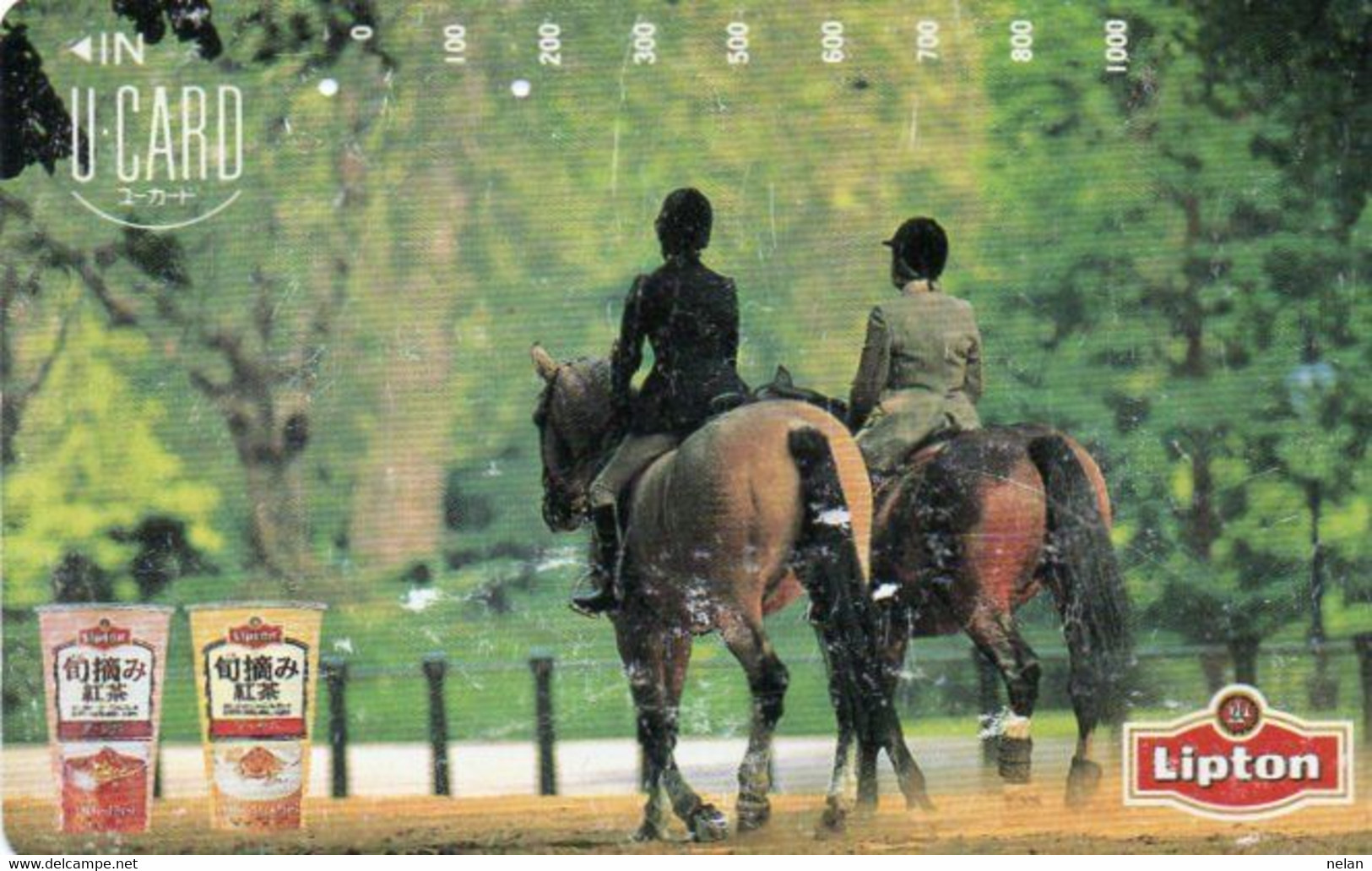 PHONE CARD- JAPAN - Paarden