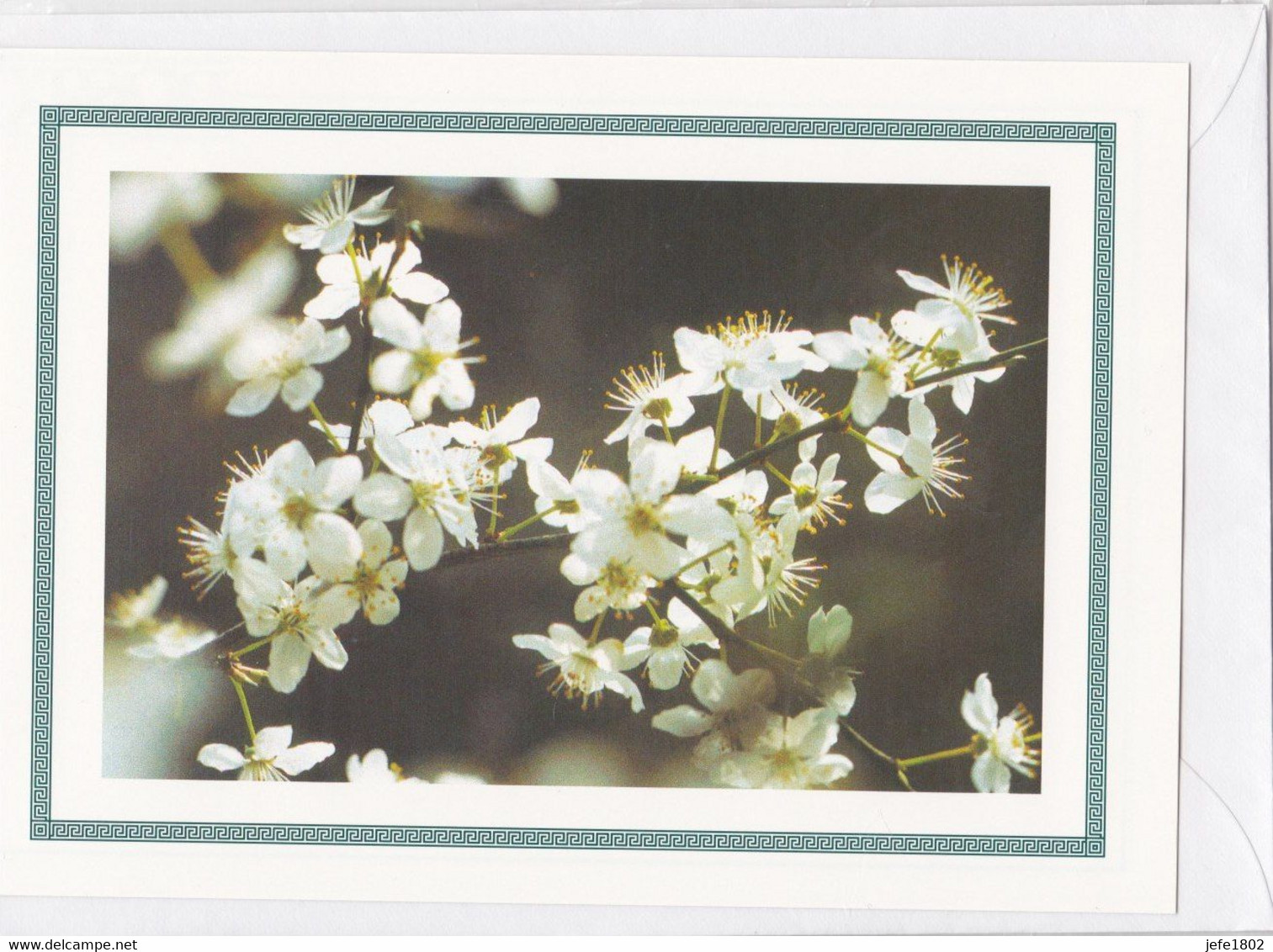 Postogram 124 / 97 - Kersenbloesem - Christine Nyst - Cherrie Blossoms - Postogram