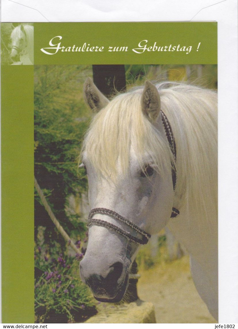 Postogram 142 D 99 - Gratuliere Zum Geburtstag ! - Pferd - Postogram