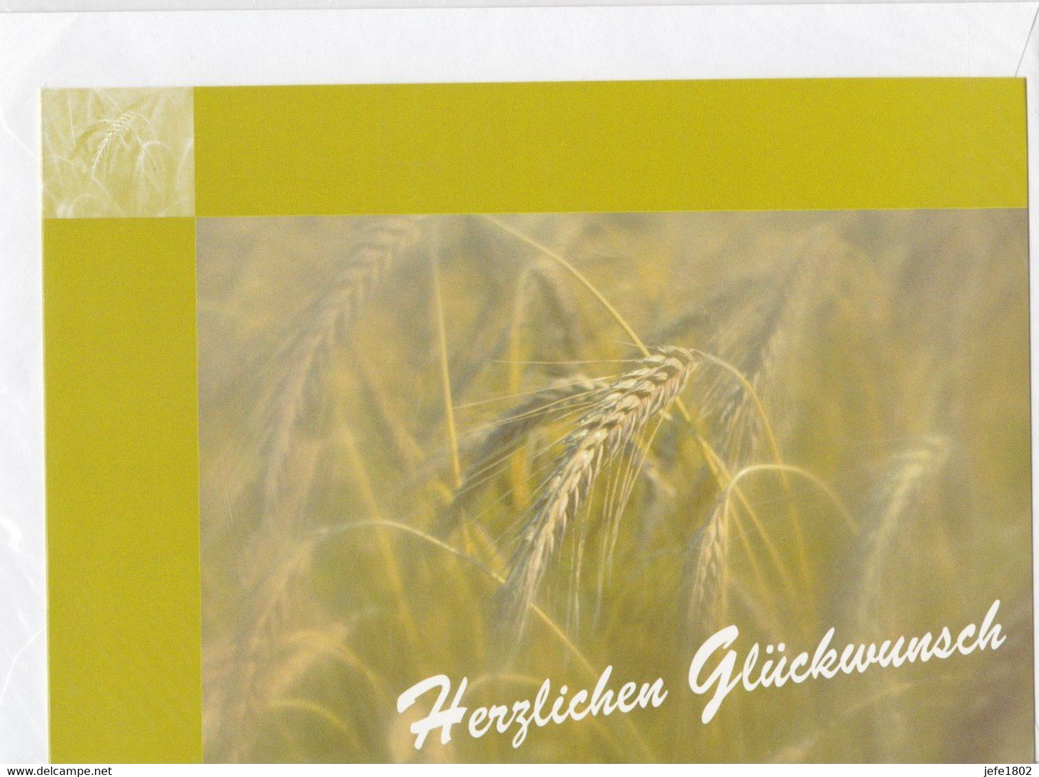 Postogram 145 D / 99 - Herzlichen Glückwunsch - Tarweaar - Postogram