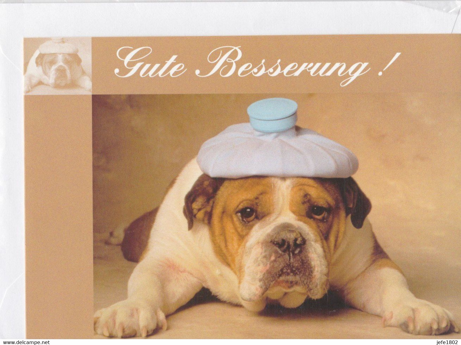 Postogram 160 D / 99 - Gute Besserung ! - English Bulldog / Waterbag - Postogram