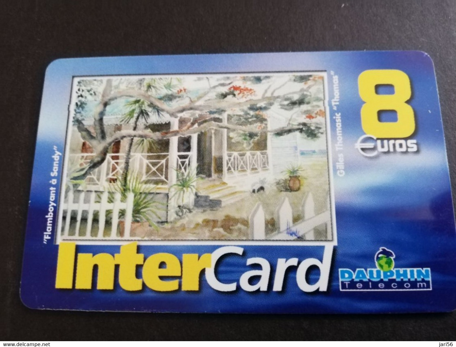 Caribbean Phonecard St Martin French INTERCARD  8 EURO  NO 064  **5231** - Antilles (French)