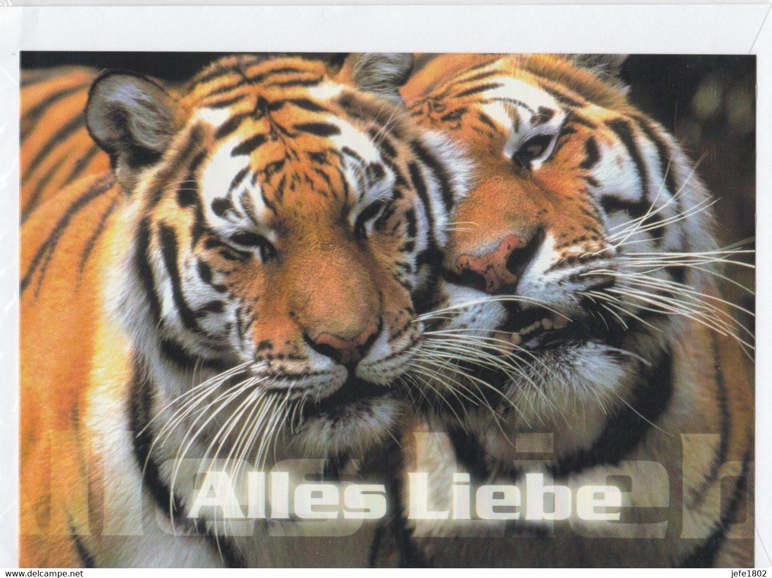 Postogram 175 D / 00 - Alles Liebe ... Tijger - Tigre - Tiger - Postogram