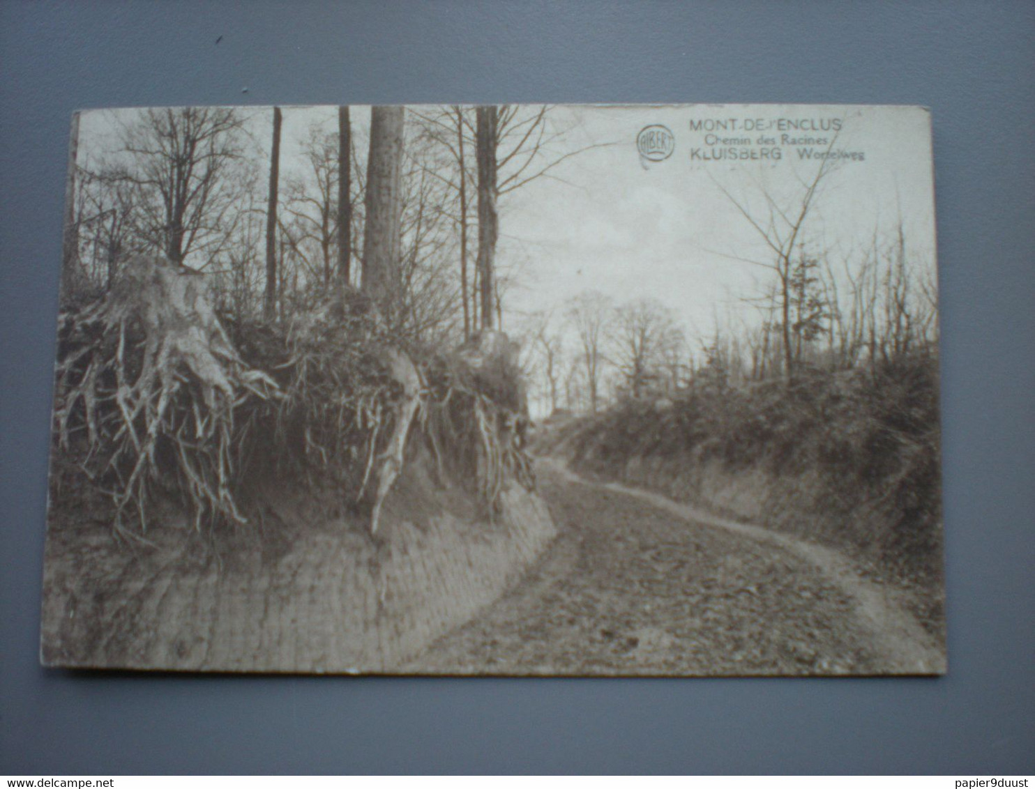 MONT-DE-L'ENCLUS / KLUISBERG - CHEMIN DES RACINES / WORTELWEG - Kluisbergen