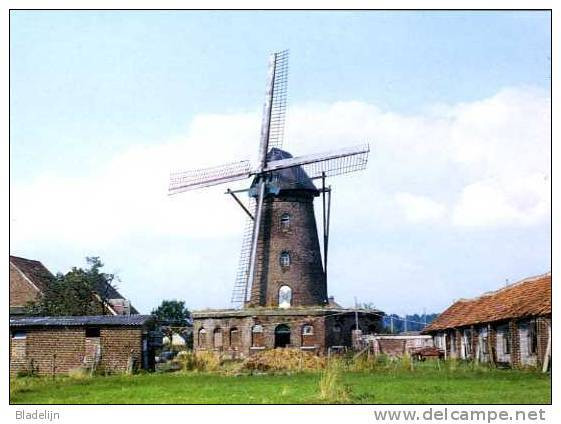 ELEN (Limb.) - Molen/moulin/mill - Historische Opname Van Bergmolen De Hoop, Voor Verval En Restauratie. - Dilsen-Stokkem