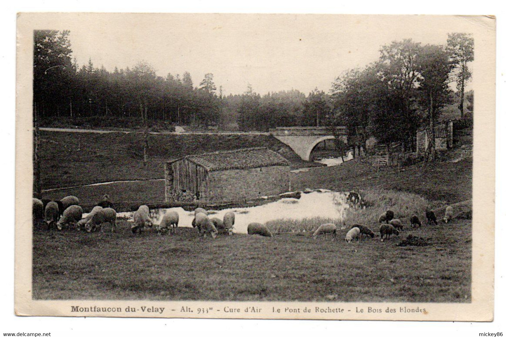 MONTFAUCON EN VELAY - Le Pont De La Rochette - Le Bois Des Blondes - ..(animée ,moutons ).......à Saisir - Montfaucon En Velay