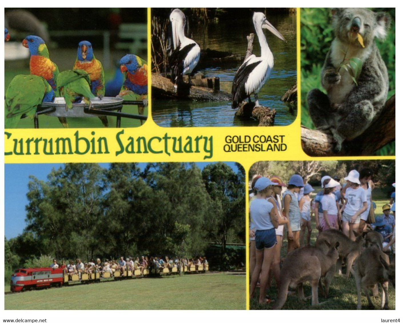 (NN 32) Australia - QLD - Birds / Mini Train / Koala - Kangaroo - Currumbin Sanctuary - Gold Coast