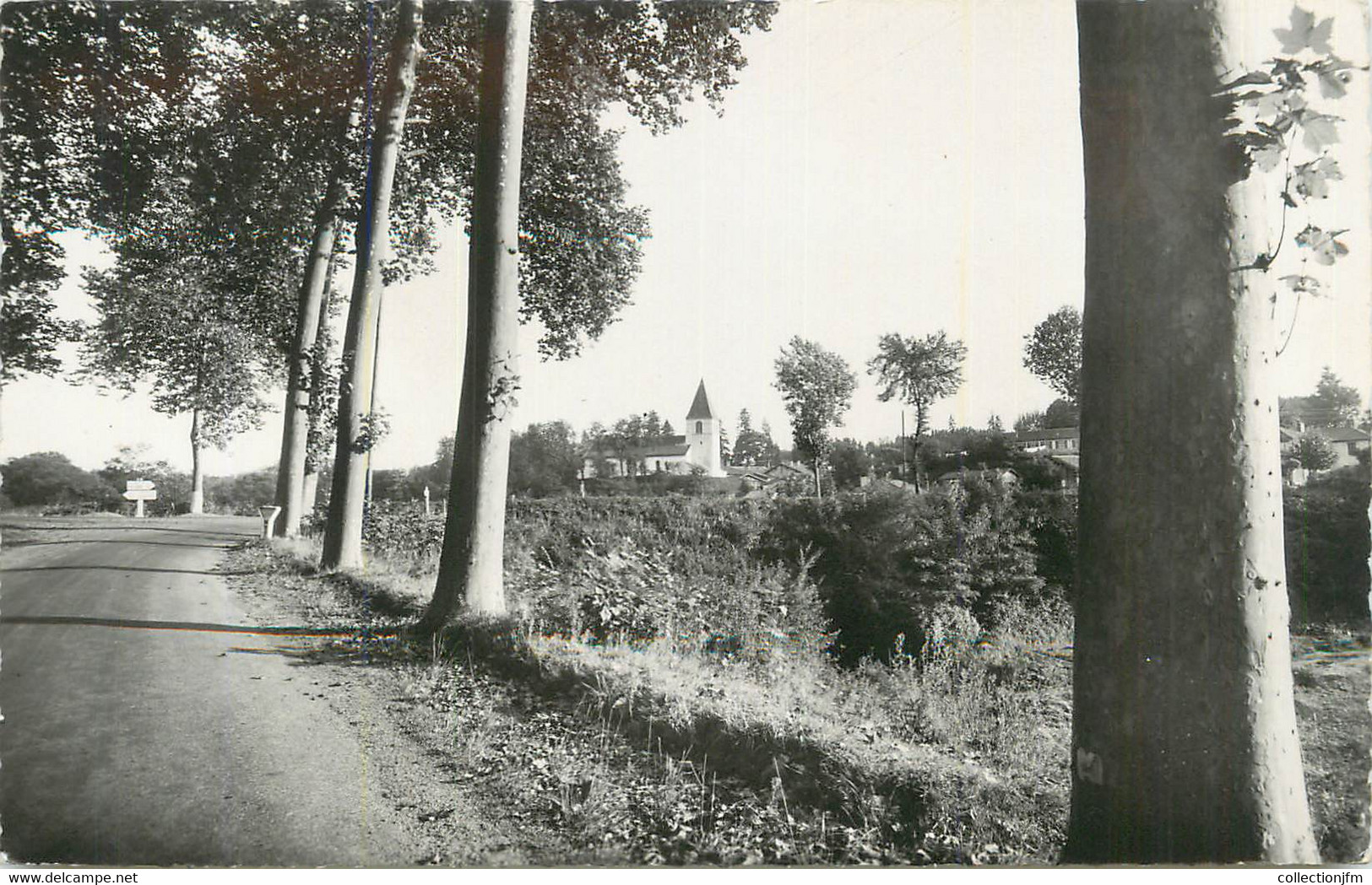 CPSM FRANCE 40 "Castets Des Landes, La Route D'Uza". - Castets