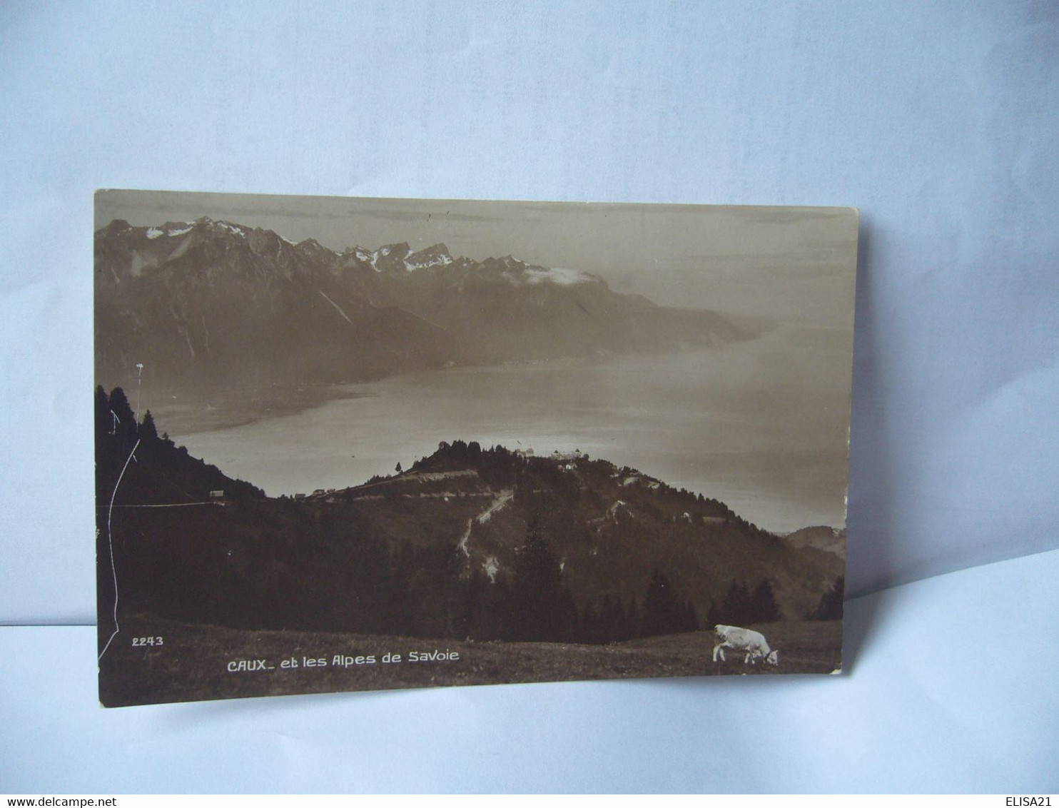 2243. CAUX ET LE ALPES DE SAVOIE SUISSE VD VAUD CPA EDITION ART PERROCHET & DAVID LA CHAUX DE FONDS LAUSANNE - La Chaux