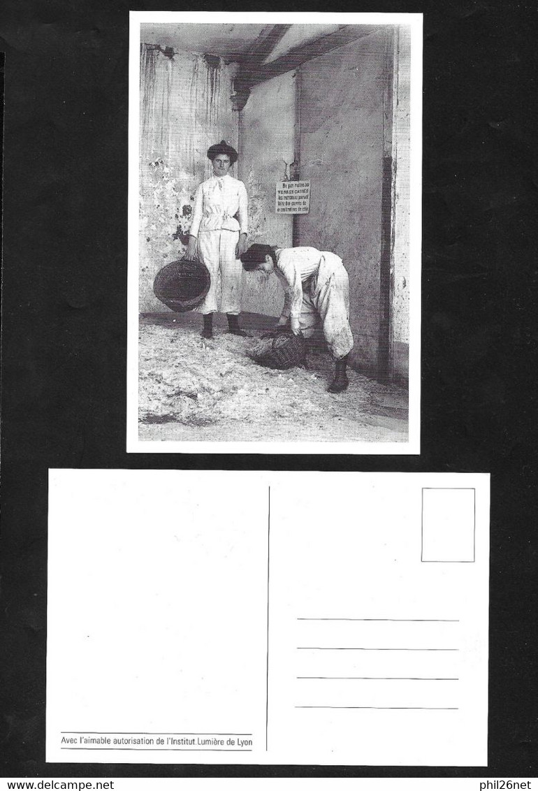 Carte Postale Institut  Lumière De Lyon    Photo Exraite Du Film " Les Ramasseurs De Verre" Des Frères Lumière Neuve TB - Artisanat