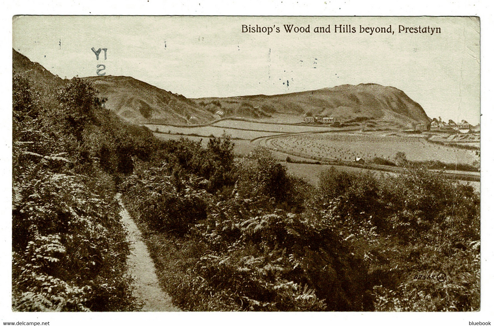 Ref 1480 - 1926 Postcard - Bishop's Wood & Hills Beyond - Prestatyn Flintshire British Industries Fair  Slogan - Flintshire