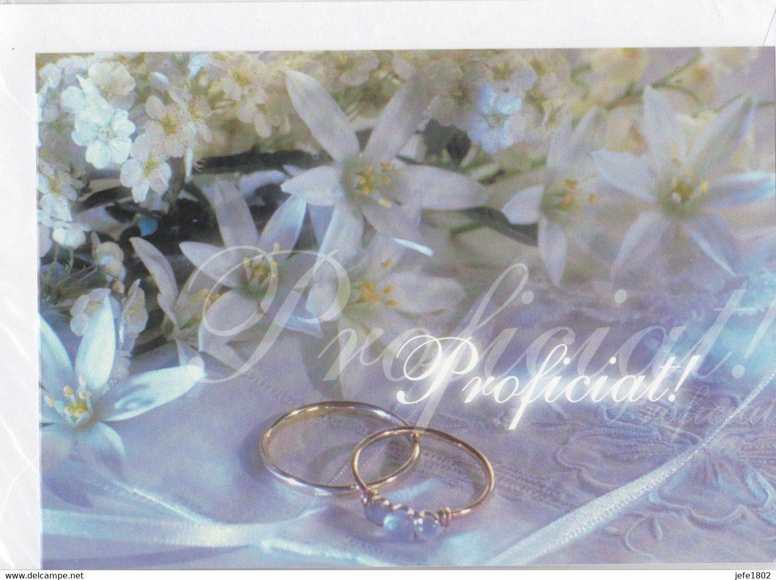 Postogram 176 N / 00 - Proficiat ! - Wedding Rings - Postogram