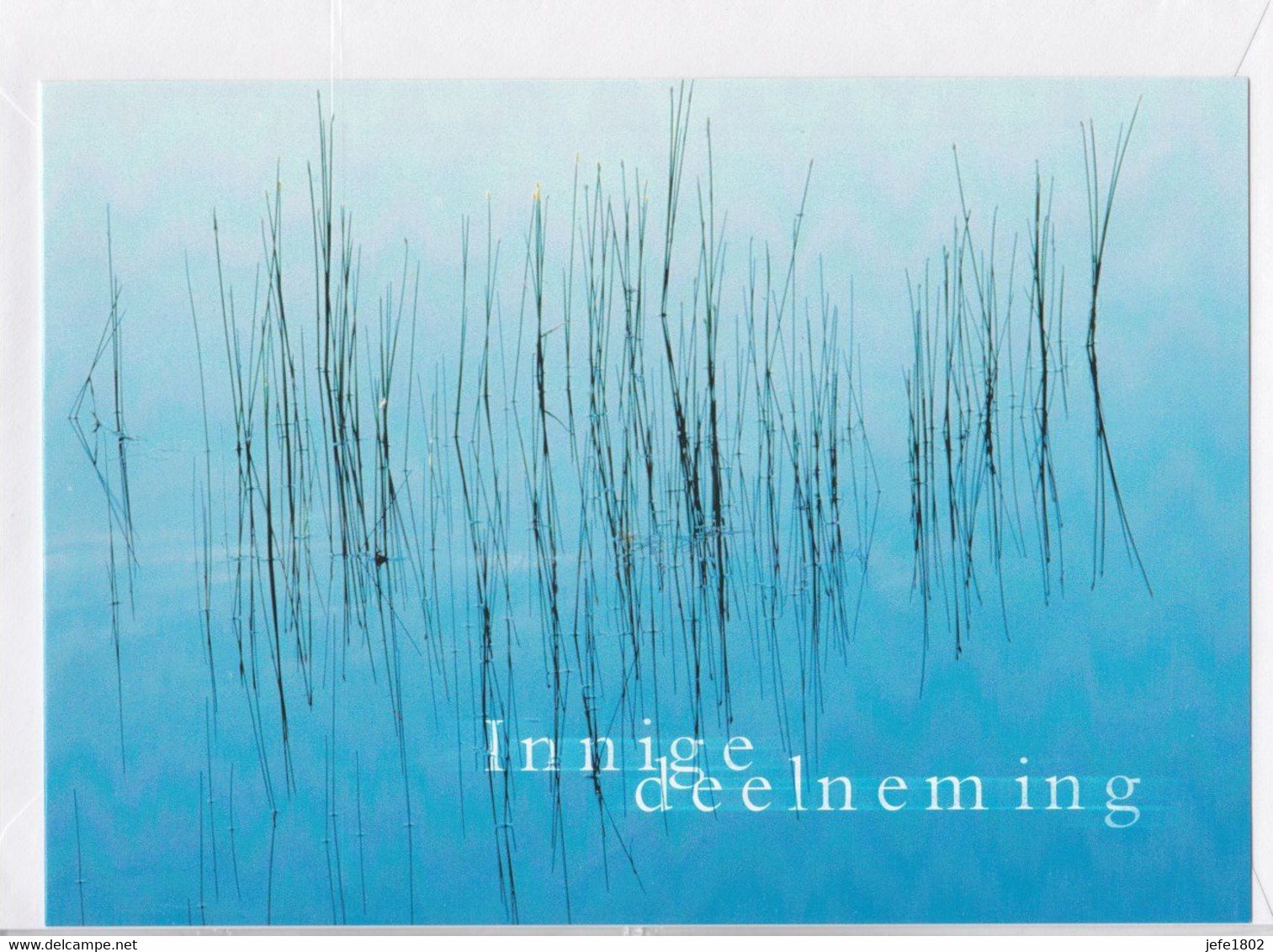 Postogram 182 N / 00 - Innige Deelneming - Water Met Riet - In Memoriam - Postogram