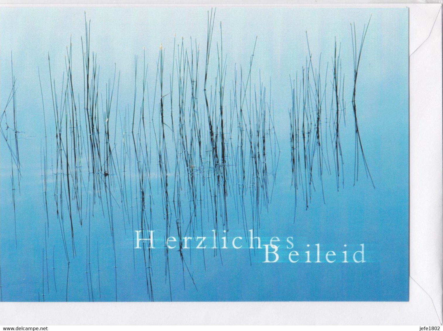 Postogram 184 D  / 00 - Herzliches Beileid - Water Met Riet - In Memoriam - Postogram