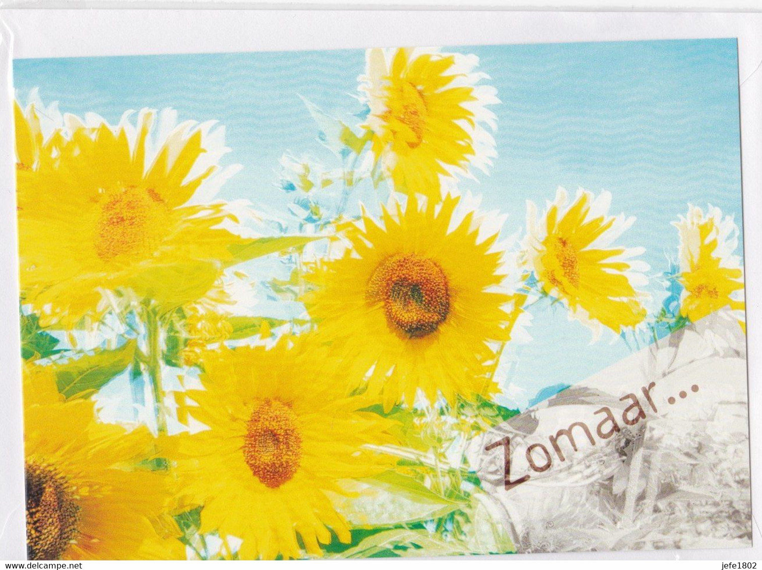 Postogram 194 N - Zomaar ... Sunflowers - Zonnebloemen - Postogram