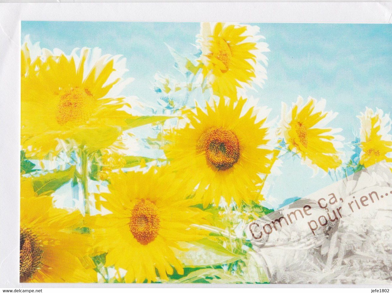Postogram 195 F  - Comme ça, Pour Rien ... Sunflowers - Zonnebloemen - Postogram