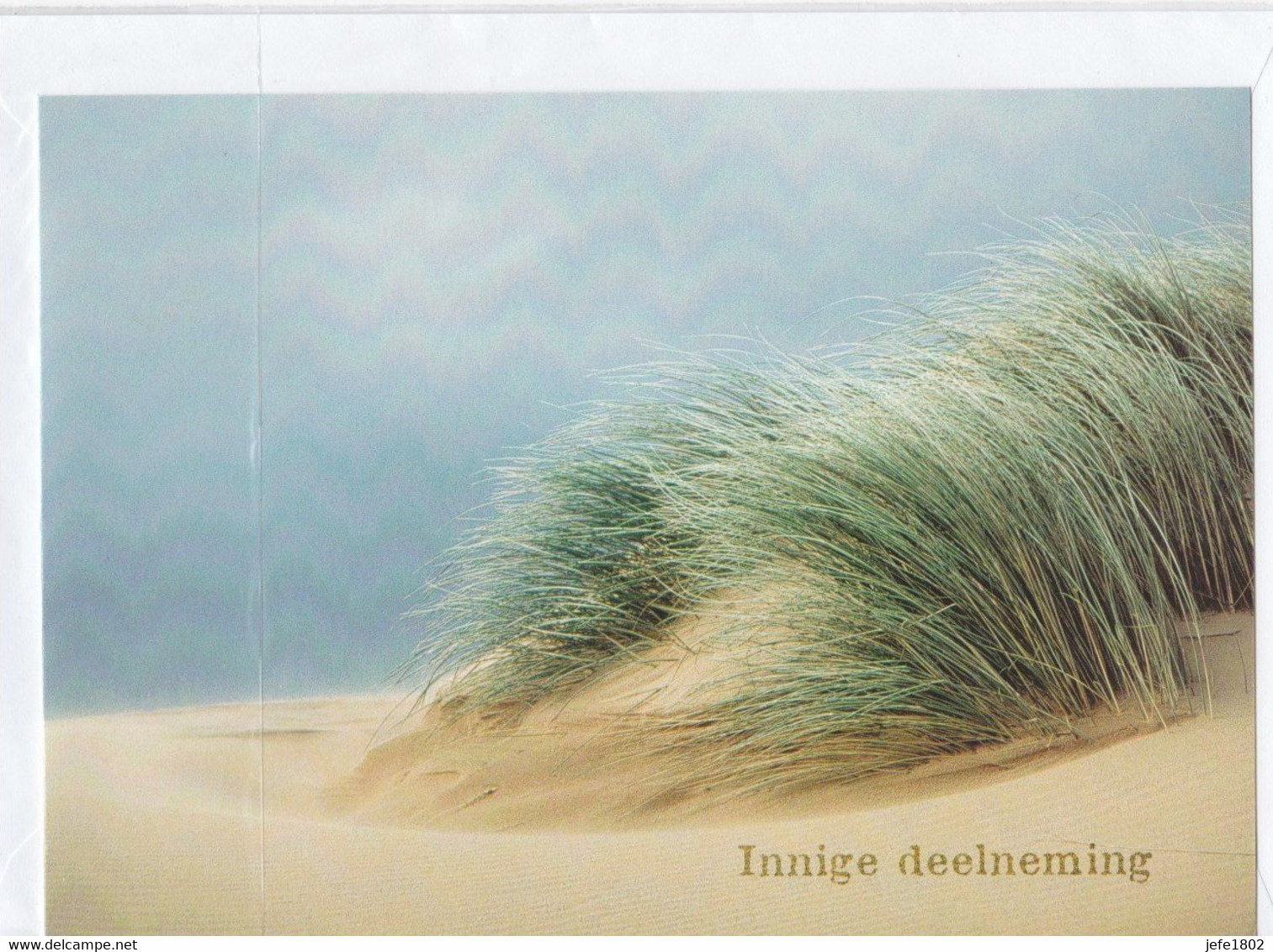 Postogram 206 N - Innige Deelneming - In Memoriam - Postogram