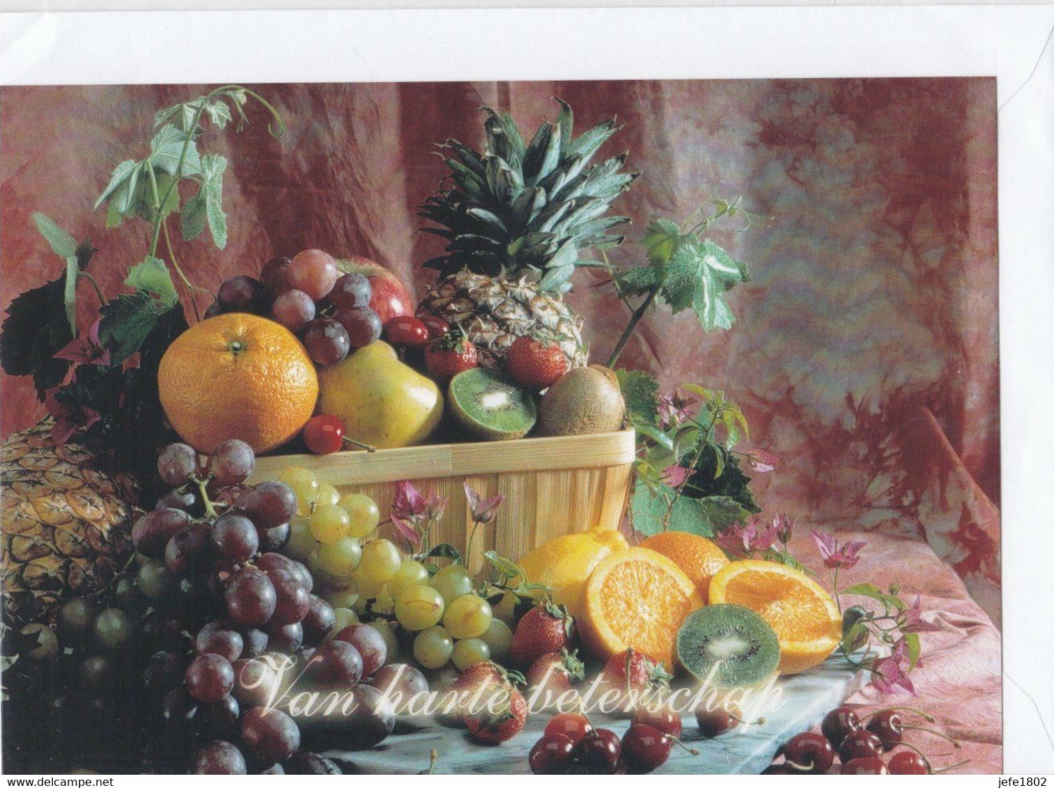 Postogram 215 N - Van Harte Beterschap - Oranges - Grapes - Kiwi ... - Postogram