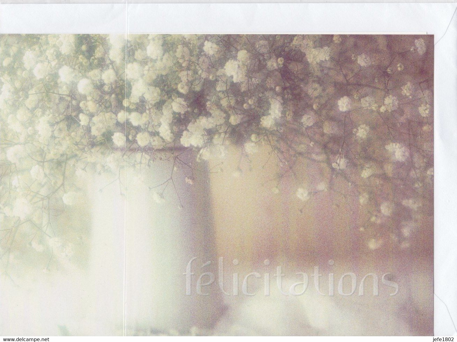 Postogram 222 F - Félicitations - Flowers - Fleurs - Postogram