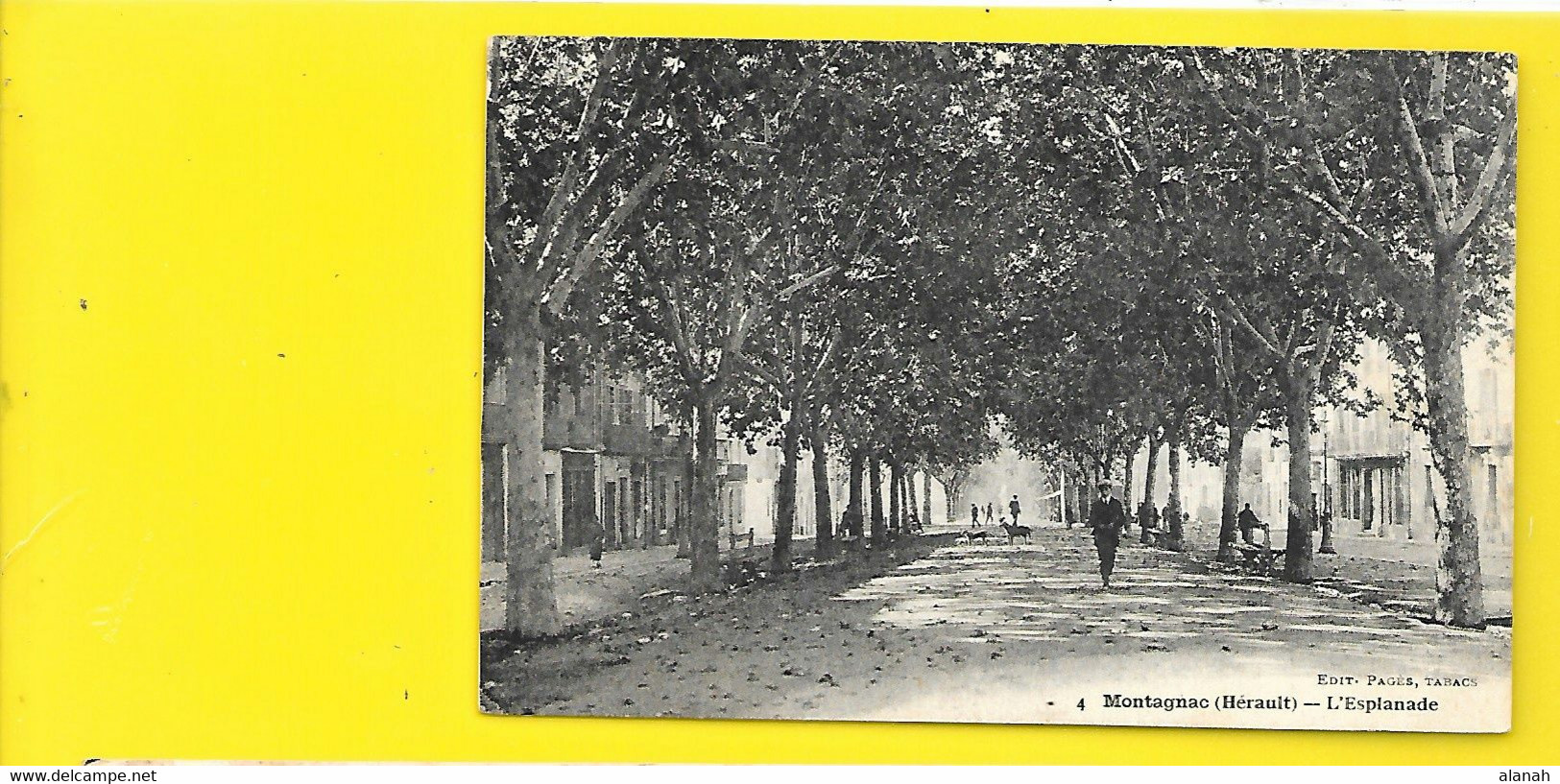 MONTAGNAC L'Esplanade (Pagès) Hérault (34) - Montagnac